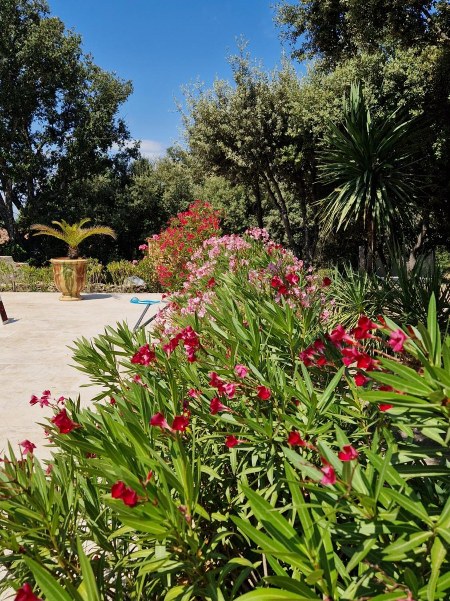 La Cigaliere Villa L'Isle-sur-la-Sorgue Luaran gambar